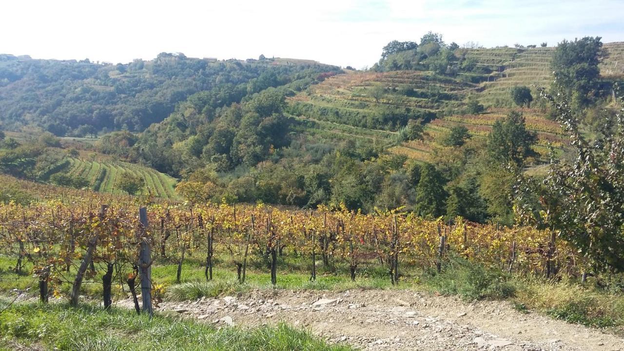 Farmstay Kmetija Stekar Kojsko Εξωτερικό φωτογραφία