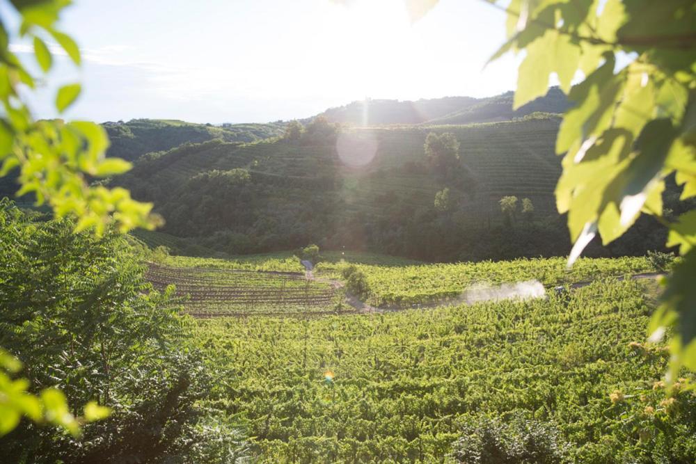 Farmstay Kmetija Stekar Kojsko Εξωτερικό φωτογραφία